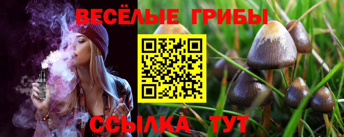 Большой Камень  Псилоцибиновые грибы мицелий  Вход с VPN 