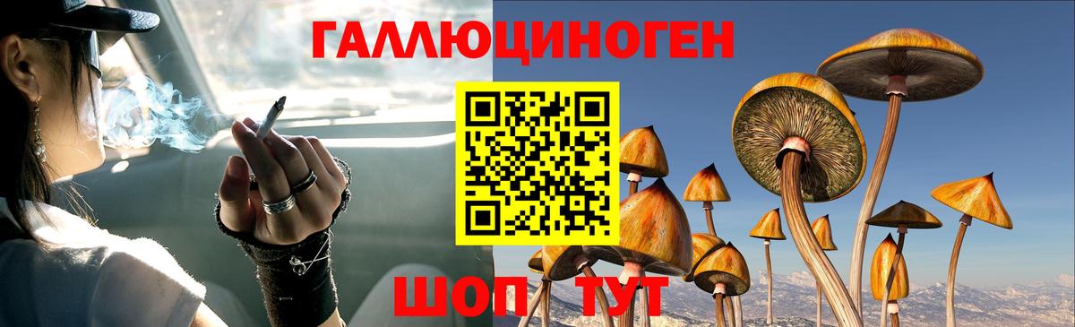 Галлюциногенные грибы прущие грибы Большой Камень